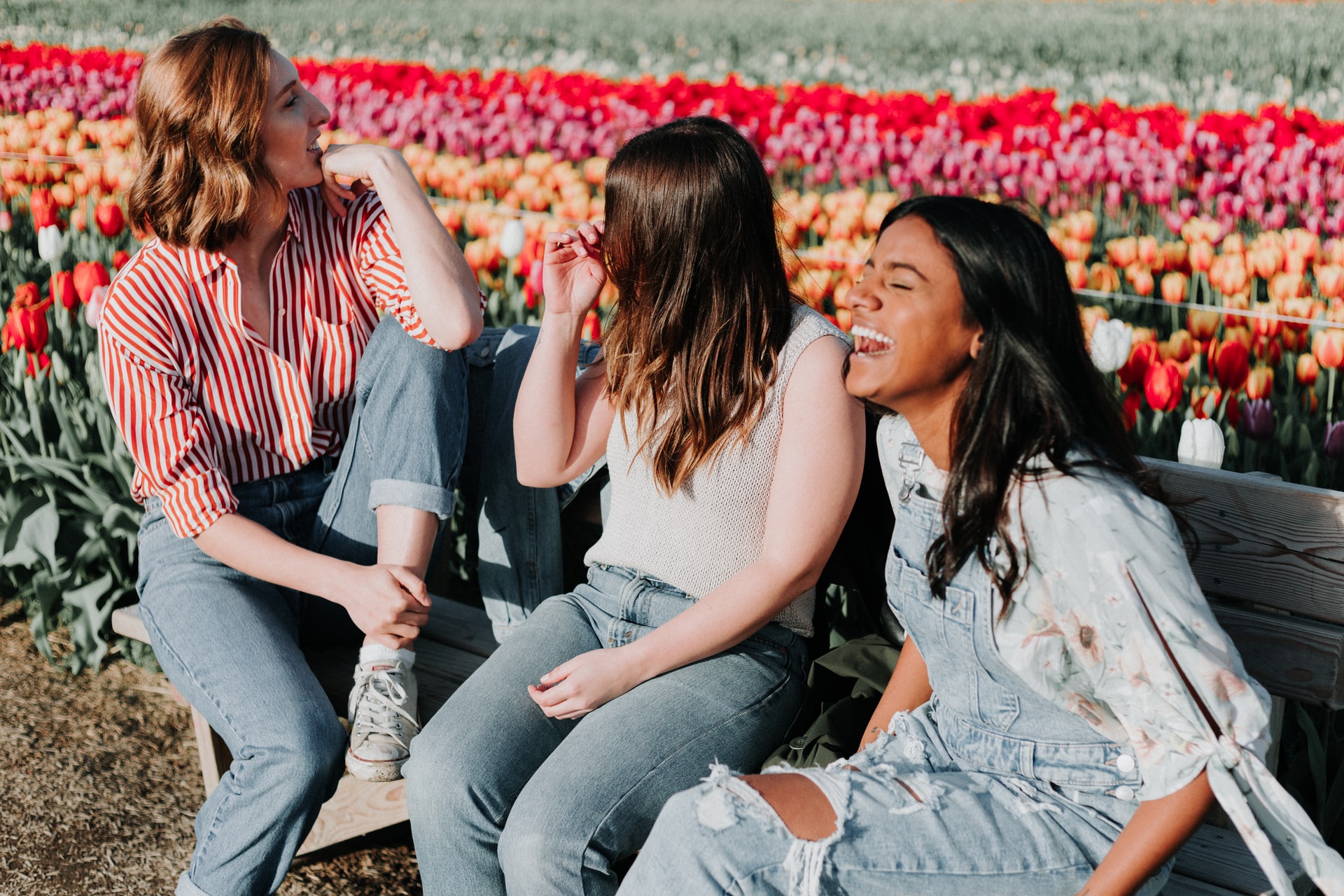 Women laughing on a bench