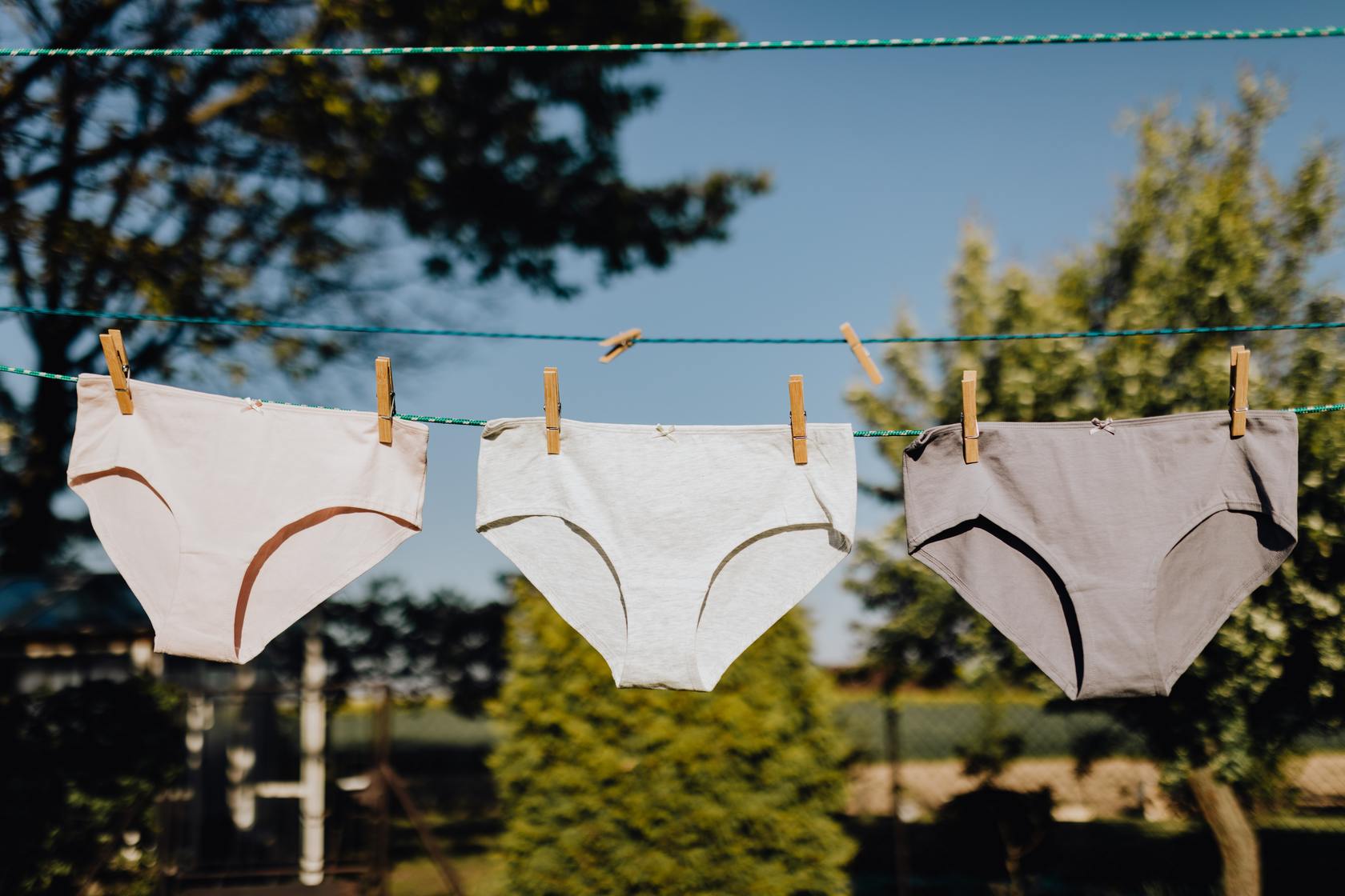 Underwear hanging to dry